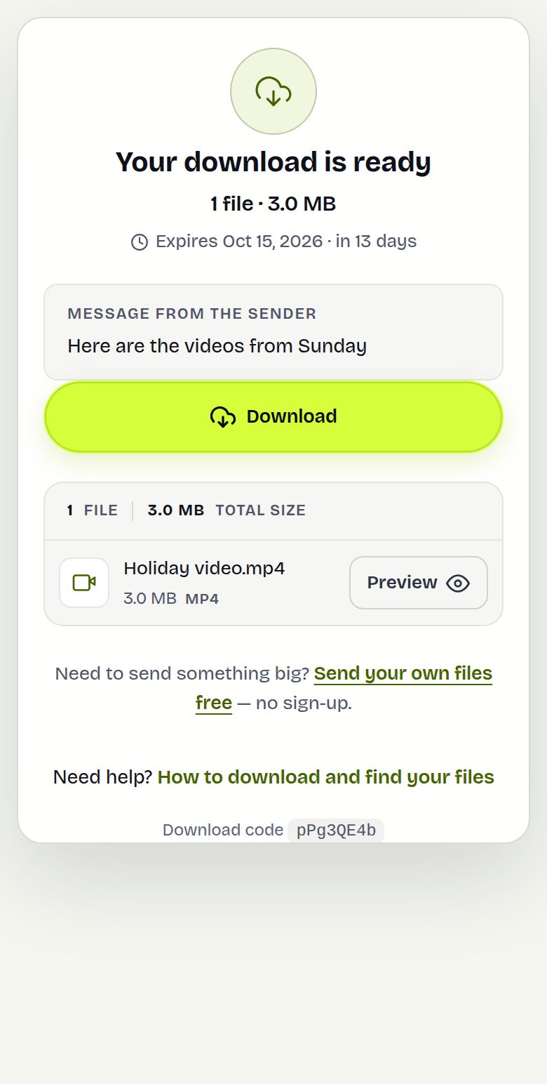 Download page as the recipient sees it, with the list of files and a Download button