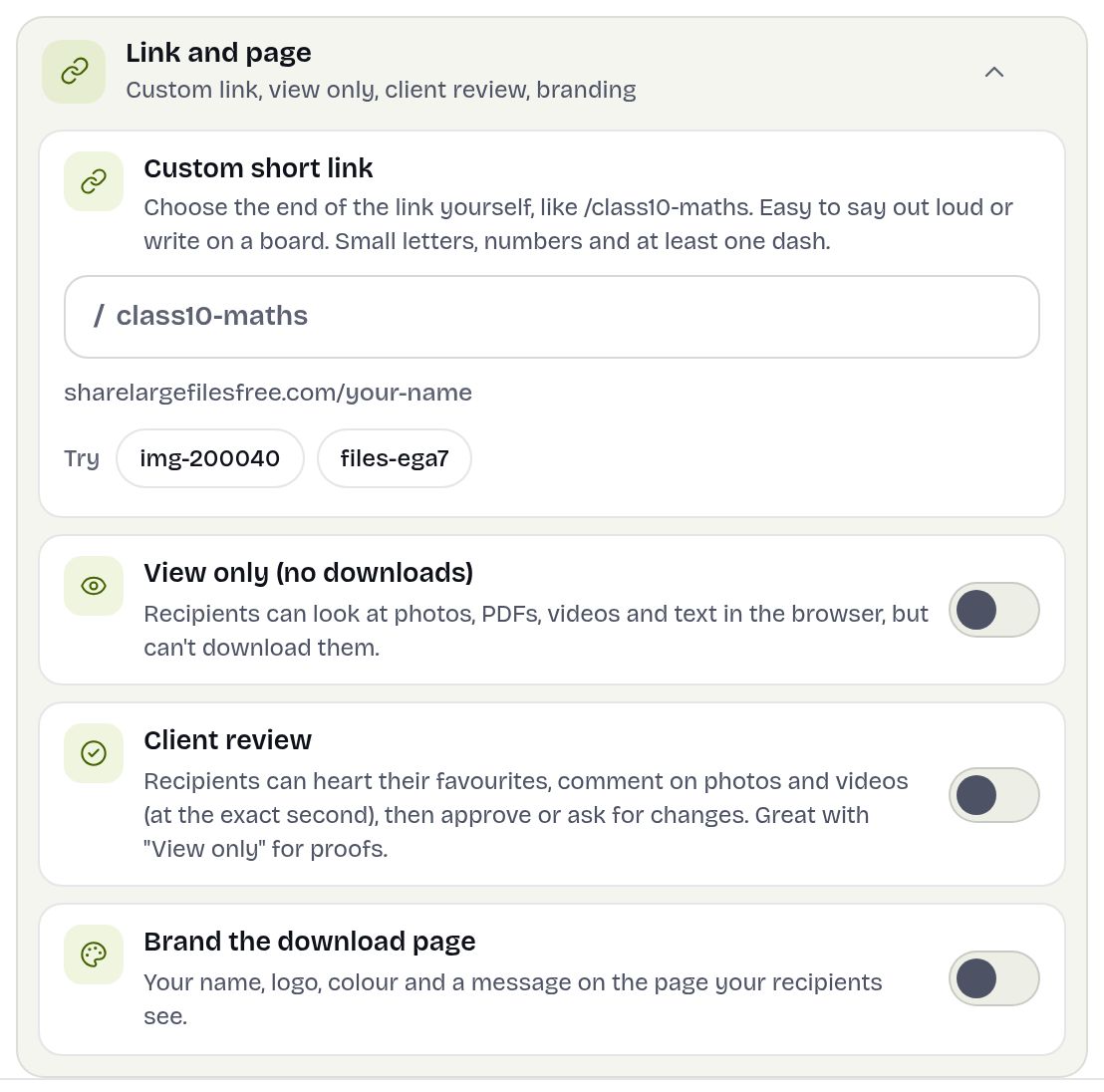 Il gruppo Link e pagina in Altre opzioni: link personalizzato, sola visualizzazione, revisione cliente e branding
